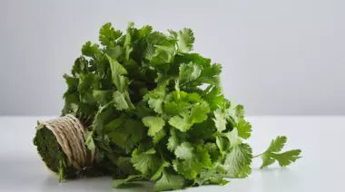 garnishing-instructions-image